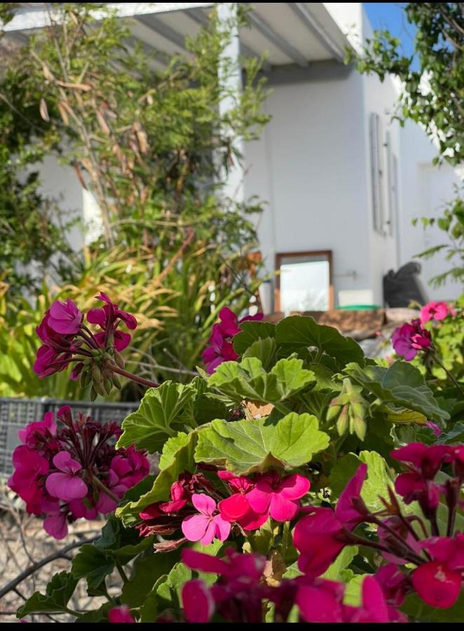 דירות Mykonos Town Alesta מראה חיצוני תמונה
